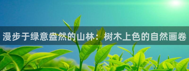 新宝GG创业奇迹:漫步于绿意盎然的山林:树木上色的自然画卷