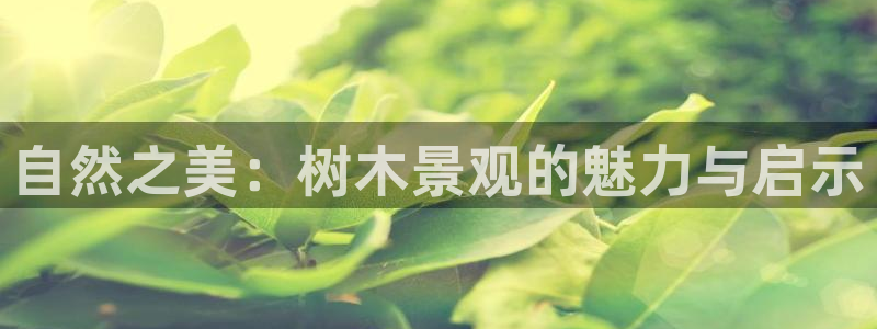 新宝gg注销:自然之美:树木景观的魅力与启示