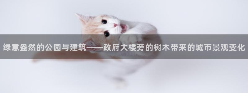 新宝GG亚洲:绿意盎然的公园与建筑——政府大楼旁的树木带来的城市景观变化