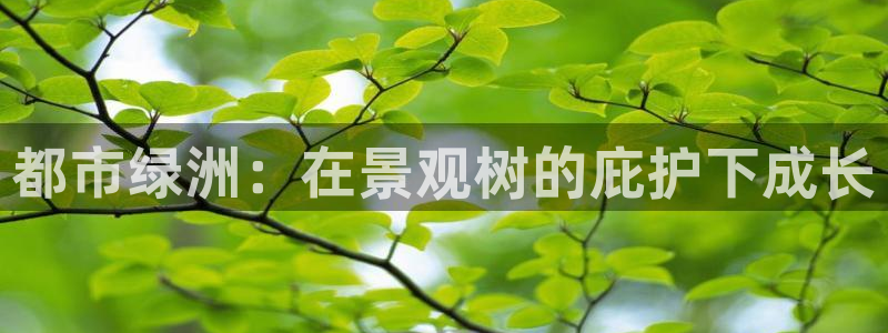 新宝gg娱乐官网:都市绿洲:在景观树的庇护下成长