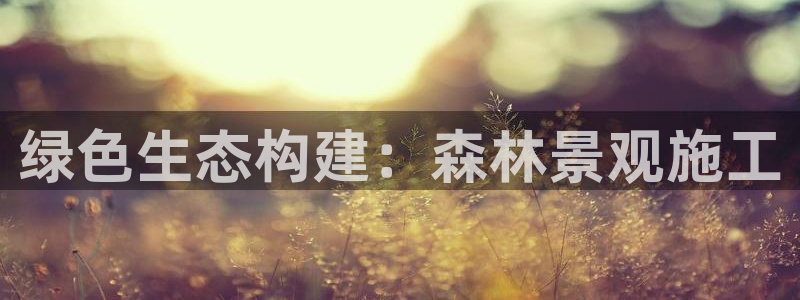 新宝gg招商42873:绿色生态构建:森林景观施工