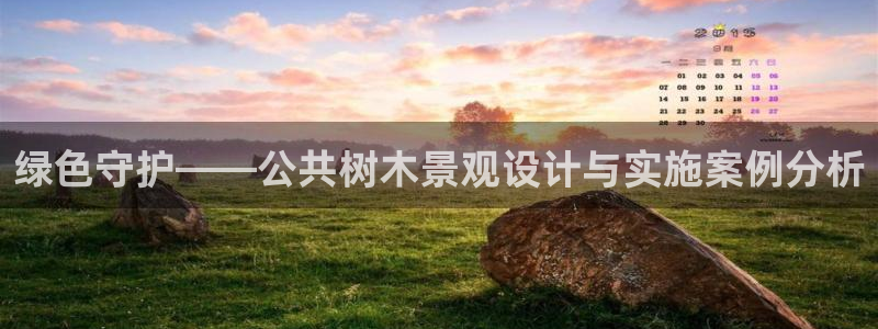 新宝 5 gg:绿色守护——公共树木景观设计与实施案例分析