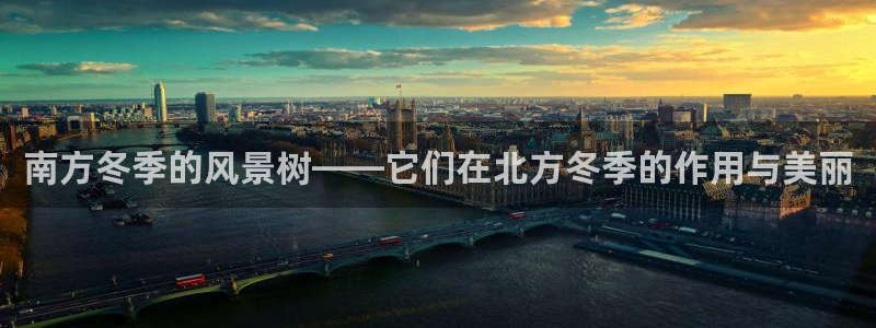 新宝gg登录:南方冬季的风景树——它们在北方冬季的作用与美丽